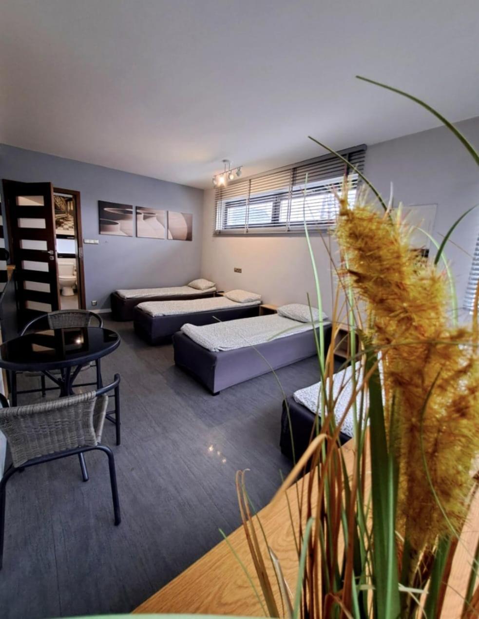 Apartament Studio Piano Płock Eksteriør billede